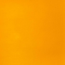 Acrylique Liquitex Basics - 118ml : Jaune de Cadmium Foncé Imitation 163