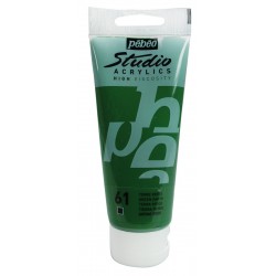 Studio Acrylics Pébéo - 100ml - terre verte