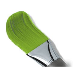 Gouache liquide Lefranc Bourgeois 1L - Vert clair