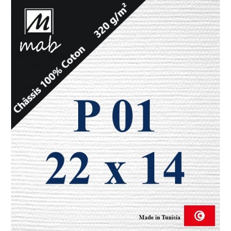 Châssis Entoilé Format Paysage P01 : 22x14