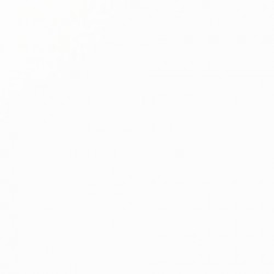 Acrylique Liquitex Basics - 118ml : titane blanc