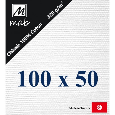 Châssis Entoilé Format 100x50