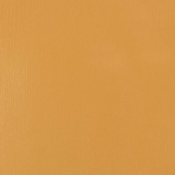 Acrylique Liquitex Basics - 118ml : Naples Jaune Teinte