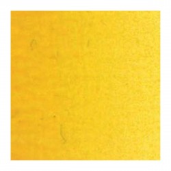 Couleurs à l'Huile 20 ml Jaune Indien