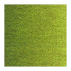 Couleurs à l'Huile 20 ml Vert Olive
