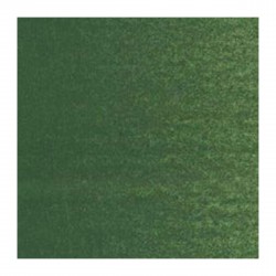 Couleurs à l'Huile 20 ml Vert Oxyde Chrome