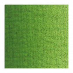 Couleurs à l'Huile 200 ml Vert de Vessie