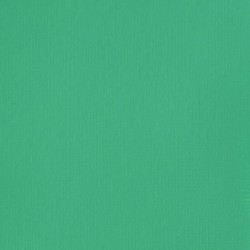 Acrylique Liquitex Basics - 118ml : Vert Aqua Brillant