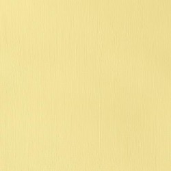 Acrylique Tube 120 ml Nuance de jaune de cadmium moyen 120