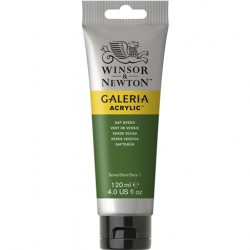 Acrylique Tube 120 ml Vert de vessie 599