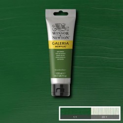 Acrylique Tube 120 ml Vert de vessie 599