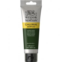 Acrylique Tube 120 ml Vert de Hooker 311