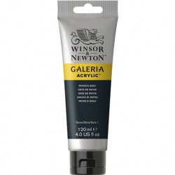 Acrylique Galeria Tube 120 ml Gris de Payne 465