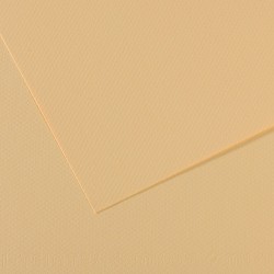 Feuille Mi-Teintes Lichen 407 - A3 - 160g/m² - Canson