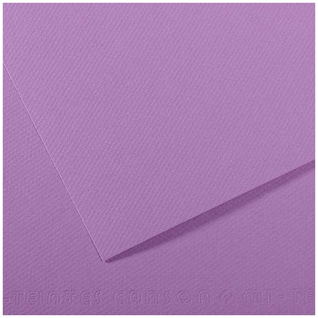 Feuille Mi-Teintes Myrtille 113 - A4 - 160g/m² - Canson