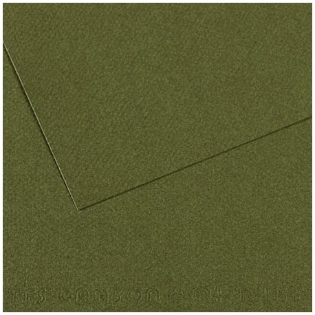 Feuille Mi-Teintes Vert Océan 448 - A4 - 160g/m² - Canson