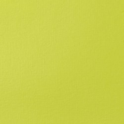 Acrylique Liquitex Basics - 118ml : Jaune brillant vert