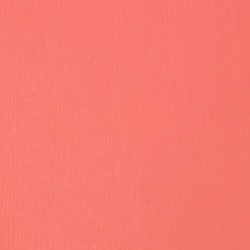 Acrylique Liquitex Basics - 118ml : Rose 048