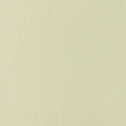 Acrylique Liquitex Basics - 118ml : Parchemin 436