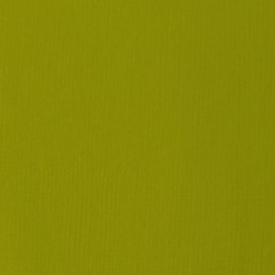 Acrylique Liquitex Basics - 118ml : Vert olive clair 218