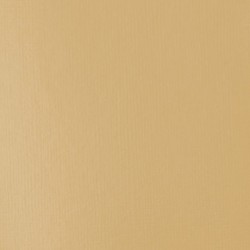 Acrylique Liquitex Basics - 118ml : Titane non blanchi 434