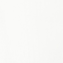 Acrylique Liquitex Basics - 118ml : Blanc Mélange Transparent 430