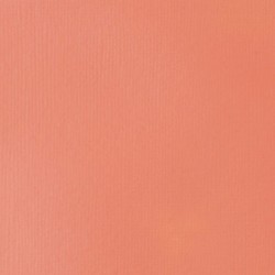 Acrylique Liquitex Basics - 118ml : Rose portrait 810