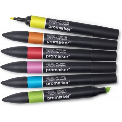 Set de 6 Promarker Tons Vifs - Winsor&Newton