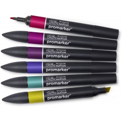 Set de Promarker  Tons Riches - Winsor&Newton