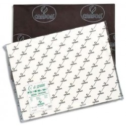 Feuille C à GRAIN® 50X65 224G Blanc - Canson