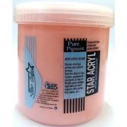 Acrylique Scolaire Star Color - 500 ml - Grège