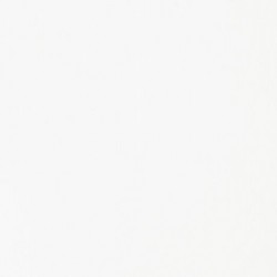 Acrylique Liquitex Basics - 946 ml : Blanc de Titane 432