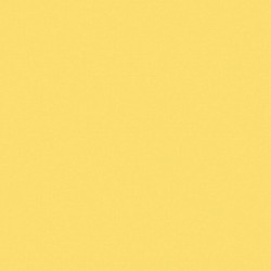 Jaune cadmium clair teinte 5 - Liquitex