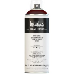 Terre d'ombre brûlée n°6 - Aérosol Liquitex 400 ml