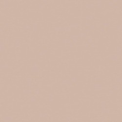 Terre d'ombre naturelle n°7 - Aérosol Liquitex 400 ml