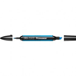 PROMARKER CYAN