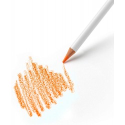 Studio Collection 48 crayons de couleur - Winsor & Newton