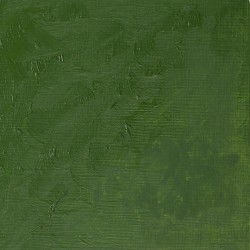Peinture à l'huile Winton 37ml Teinte viridienne 696 - Winsor & Newton