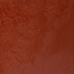 Peinture à l'huile Winton 37ml Sienne brute 552 - Winsor & Newton