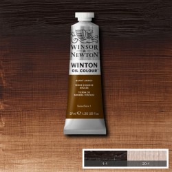 Peinture à l'huile Winton 37ml Terre de Sienne brûlée 074 - Winsor & Newton