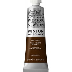 Peinture à l'huile Winton 37ml Brun Van Dyke 676 - Winsor & Newton