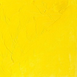 Peinture à l'huile Winton 37ml Blanc de plomb 242 - Winsor & Newton