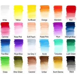 Studio Collection 24 Crayons Aquarelle - Winsor & Newton