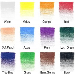 Studio Collection 12 crayons de couleur - Winsor & Newton