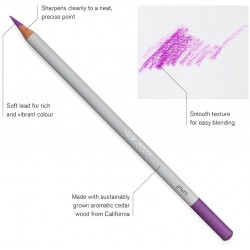 Boîte métallique Studio de 24 Crayon Couleur Boîte métallique - Winsor & Newton