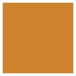 PROMARKER SIENNE BRUTE