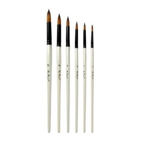 Set de 6 Pinceaux Plats
