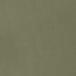 Acrylique Liquitex Basics - 118ml : Jaune Cadmium Teinte Moyenne 161