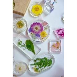 Sachet Planche géométrique n°1, Coloris Assortis- Pébéo