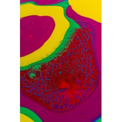 Médium de Lissage Pouring 250 ml - Pébéo